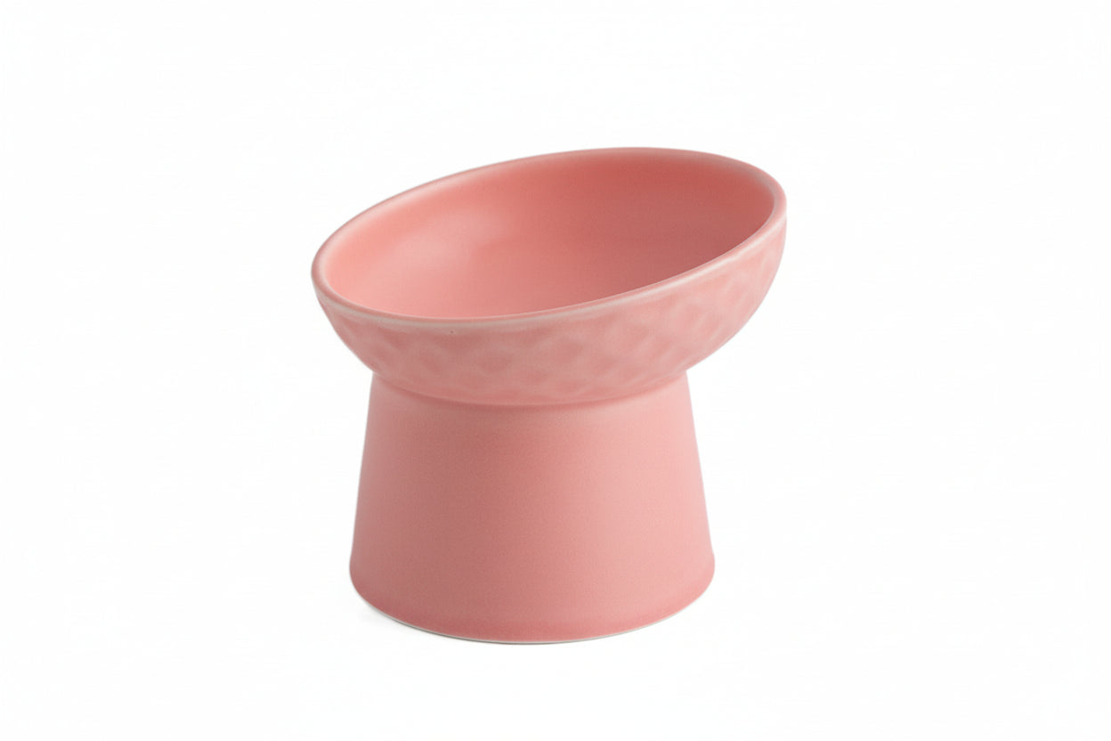 Oblique Mouth High Foot Candy Color Cat Bowl