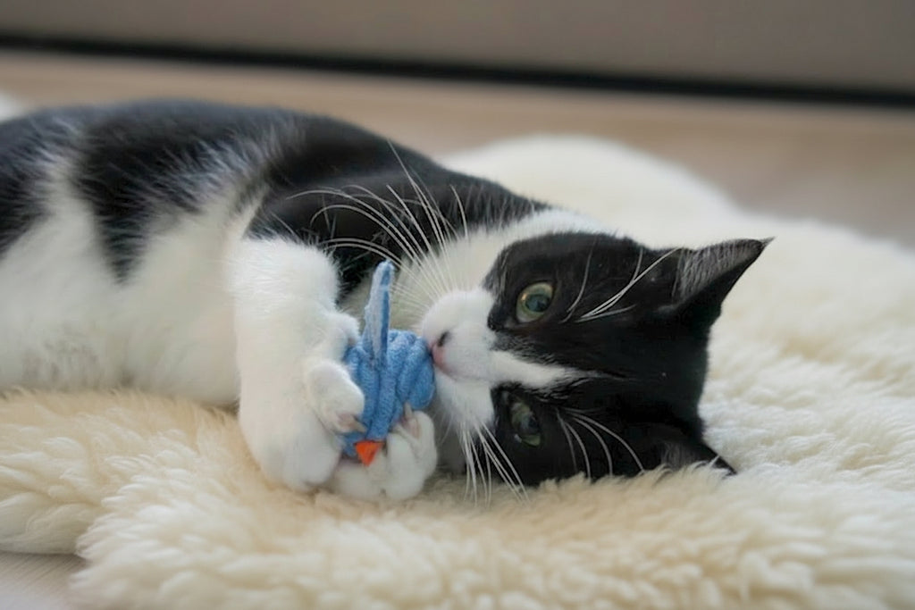 HuggleKats® Chickies Cat Toys, 3 Pack